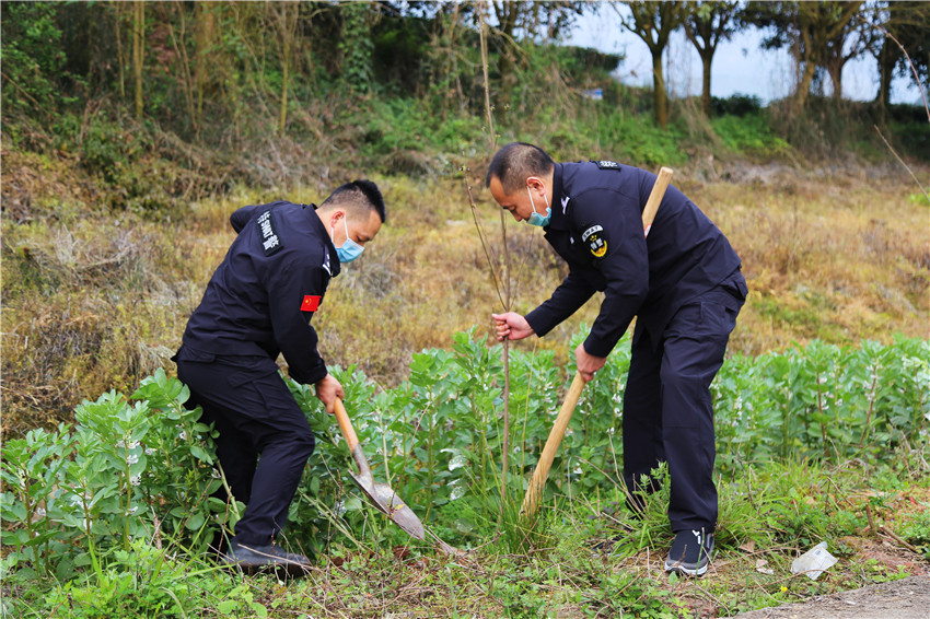 图为植树.jpg